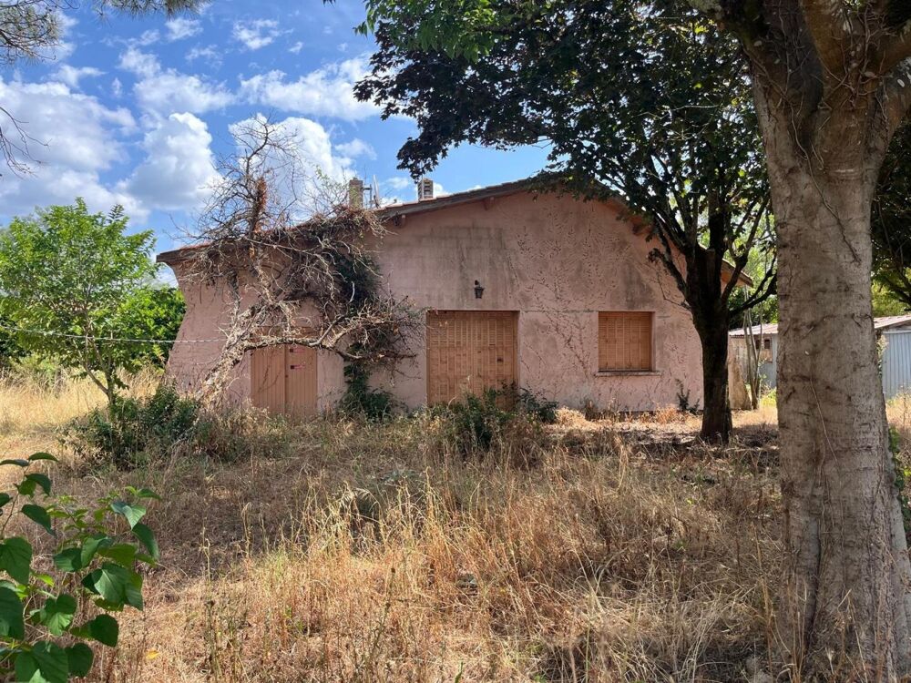 Vente Maison Jolie maison ancienne et dépendance avec grand jardin arboré Virelade