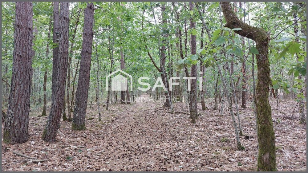 à vendre  Maison Souesmes (41300)