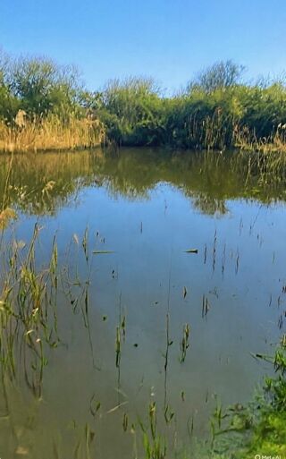  Terrain � vendre 3522 m�