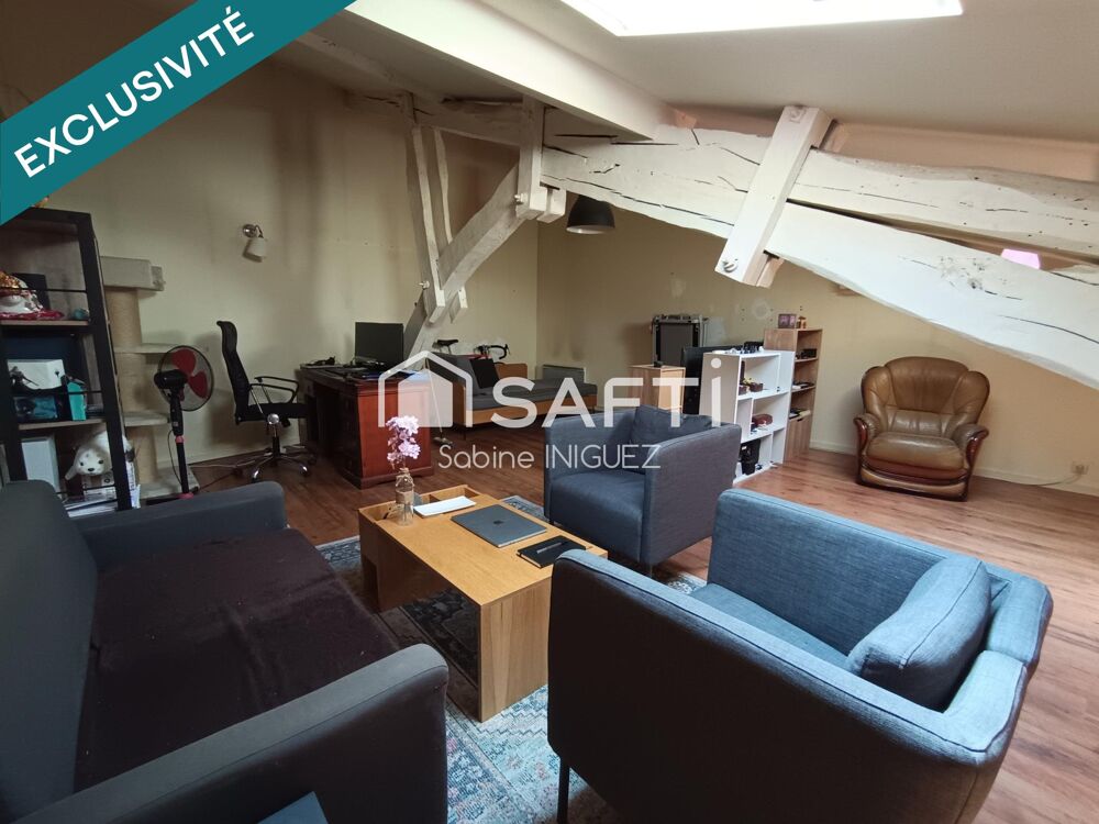 PLEIN CENTRE VILLE, APPARTEMENT ATYPIQUE