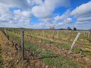  Terrain � vendre 58343 m�