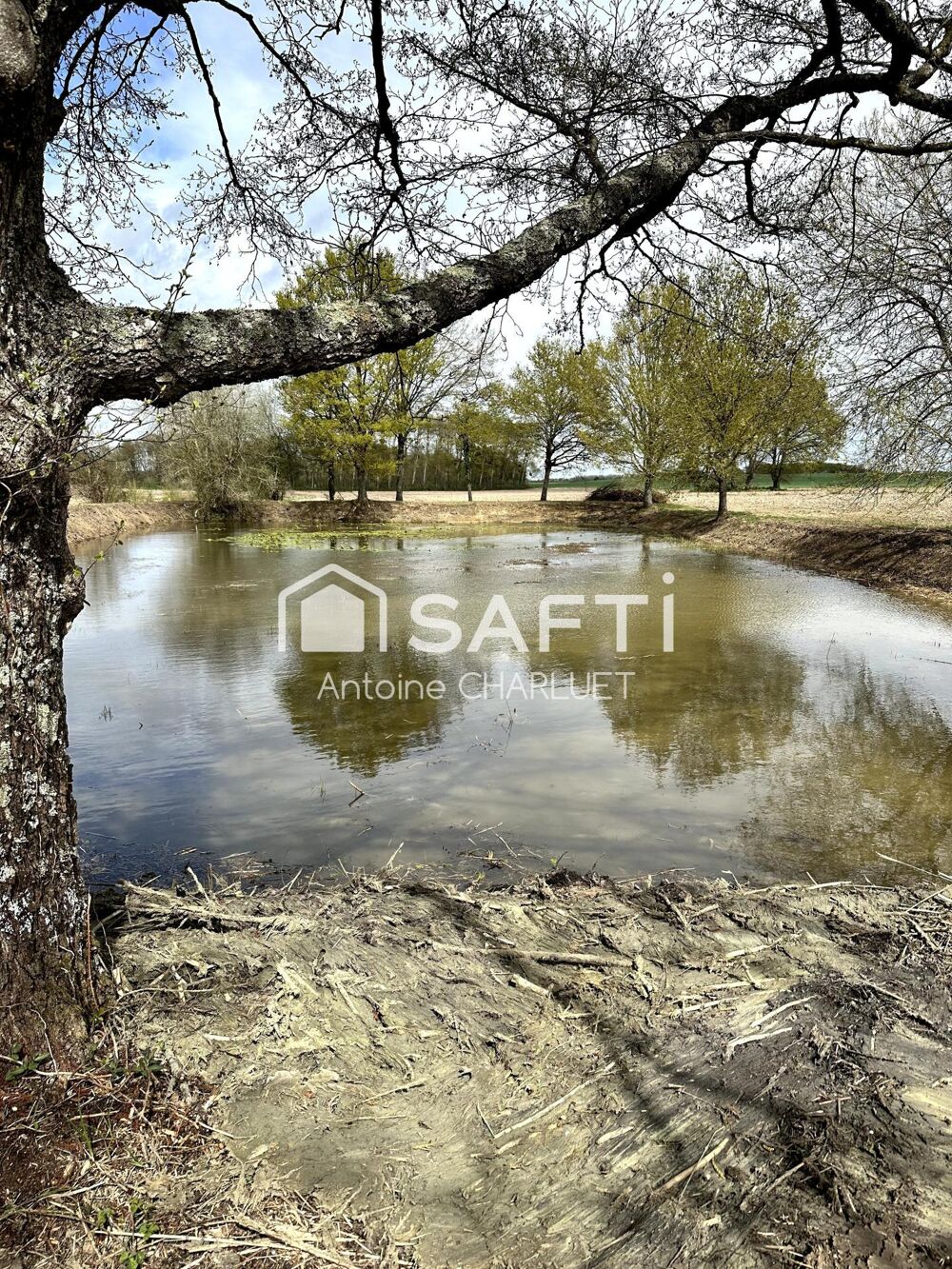 Vente Terrain Étang de loisir Saulnay