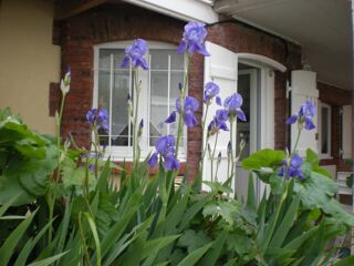  Appartement � vendre 2 pi�ces 25 m�