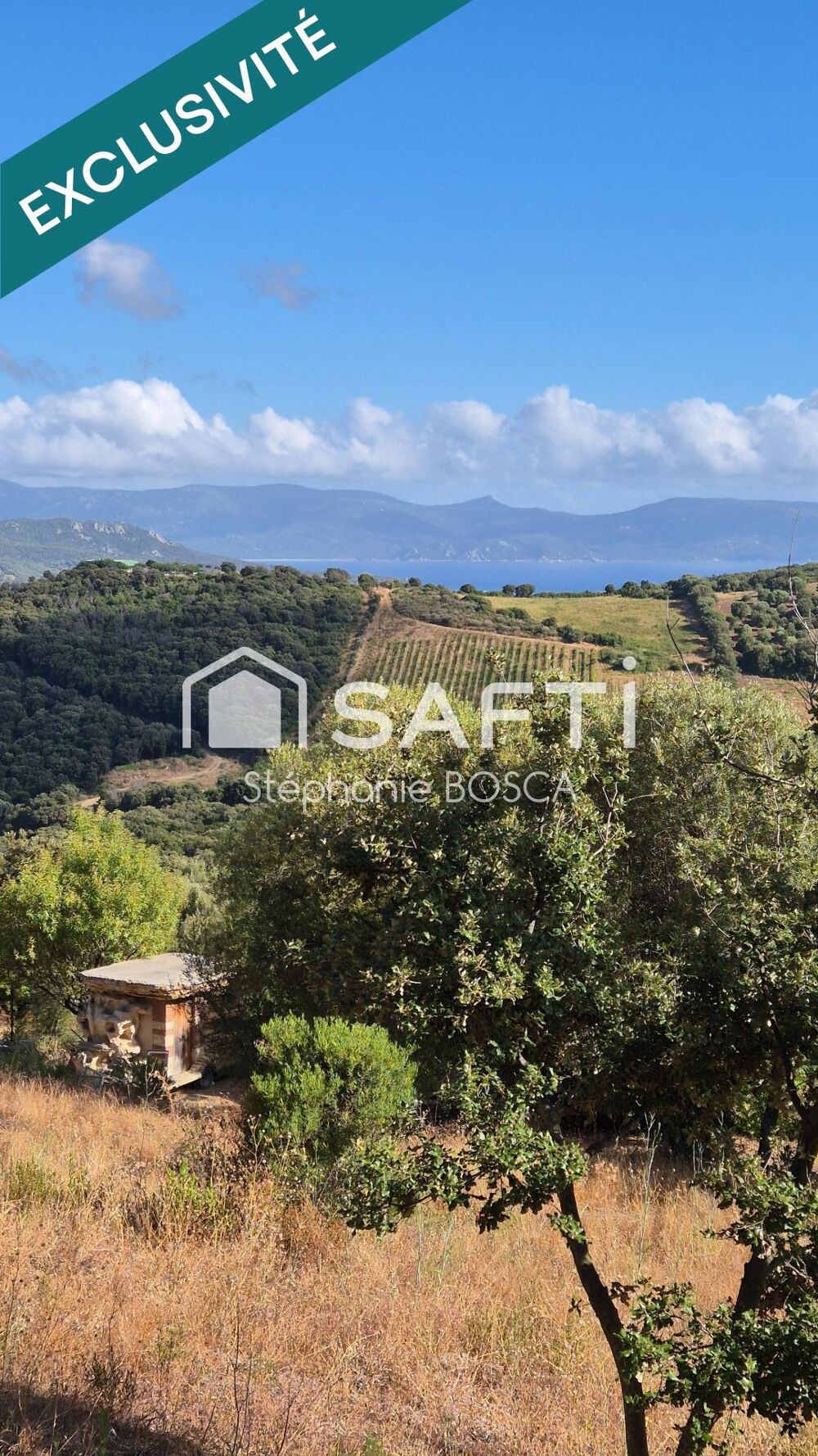 Vente Terrain EXCLUSIVITÉ - TERRAIN AVEC HÉBERGEMENTS TROGLODYTES MEUBLÉS Serra-di-ferro