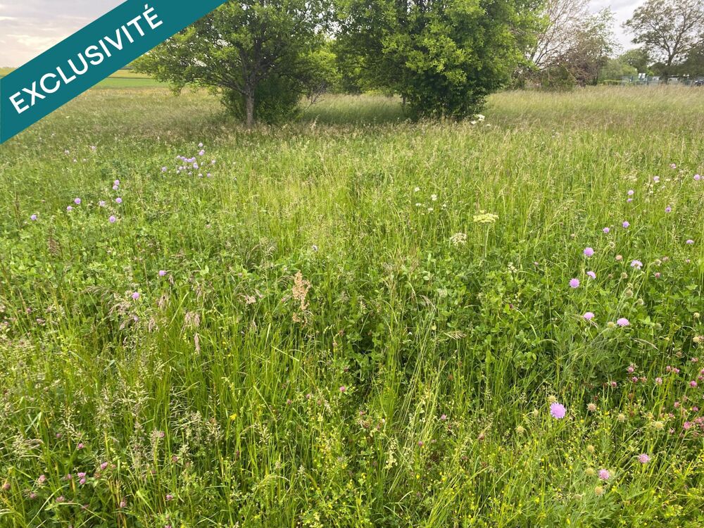 Vente Terrain terrain de loisir orienté nord sud Aillianville