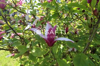  Maison � vendre 8 pi�ces 193 m�