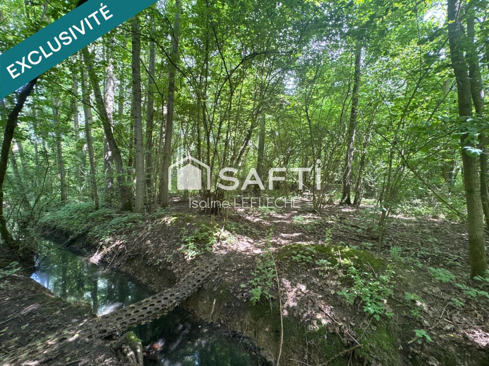Vente Terrain Terrain de loisirs avec bois, étang & chalet Cartigny