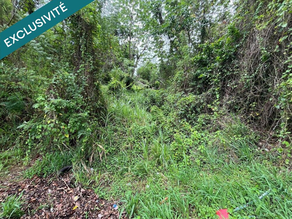 Vente Terrain Rare sur le secteur ! Le marin