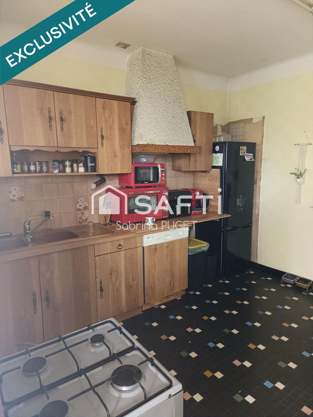 Vente Maison MAISON A FORT POTENTIEL L' oie