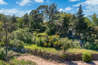  Terrain � vendre 1224 m�