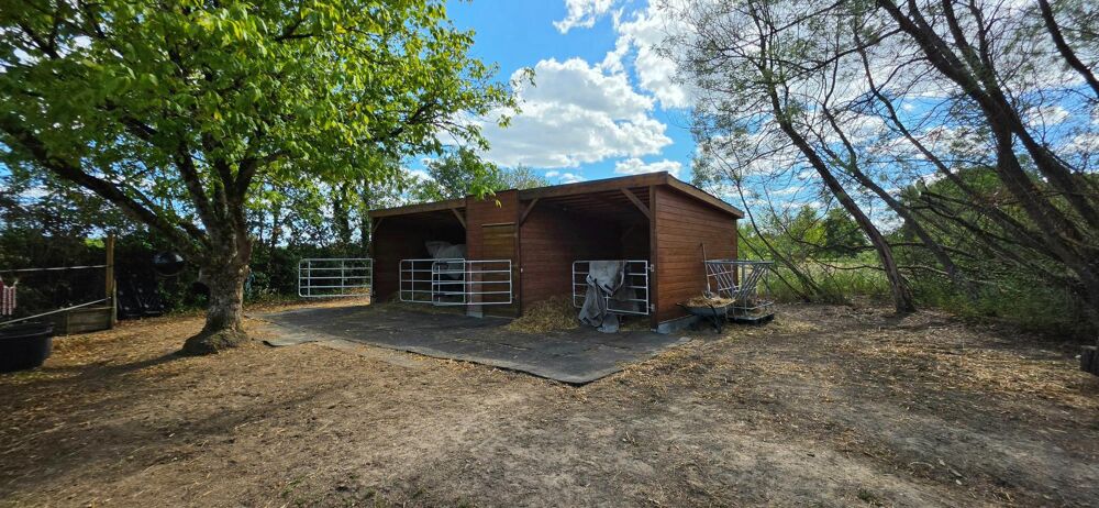Vente Maison Ecrin de 11 000 m², chevaux et piscine intérieure Vayres