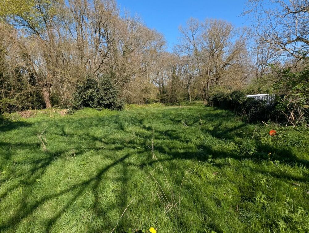 Vente Terrain Terrain de 1 800 m² constructibles à Vouillé Vouille