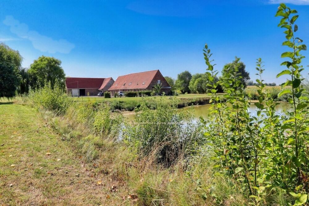Vente Maison DOMAINE 1 HA, DEUX MAISONS (310 m²), HANGAR 300 m² Steenvoorde