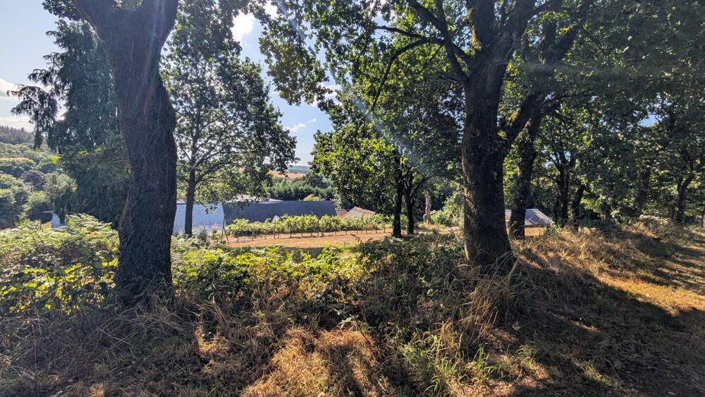 Vente Maison Sur le secteur de Plesidy , propriété avec dépendances et jardin arboré Plésidy