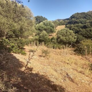  Terrain à vendre 3400 m²