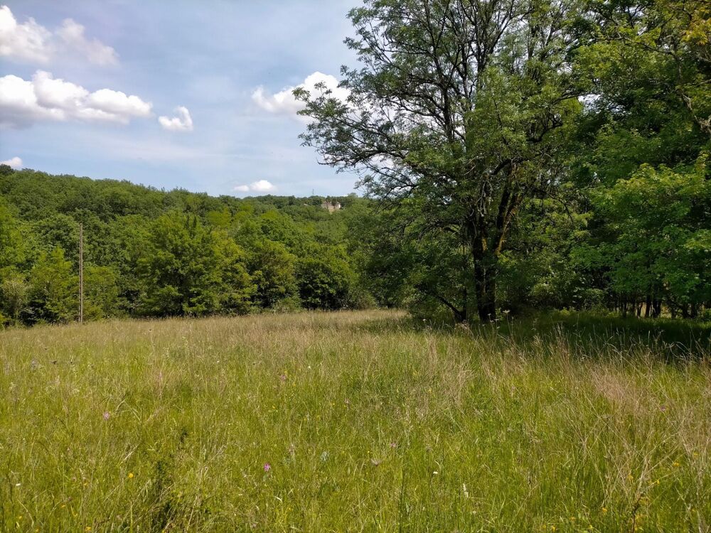 Vente Terrain Terrain constructible boisé Luzech