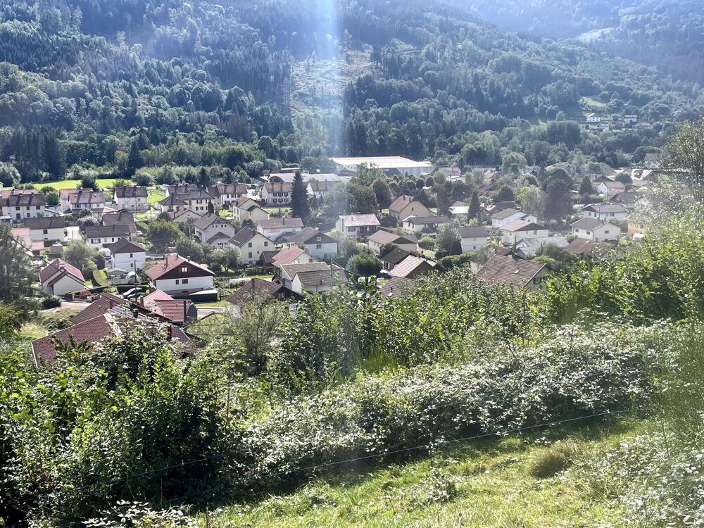 Vente Terrain Terrain non constructible avec vue exceptionnelle Saulxures-sur-moselotte