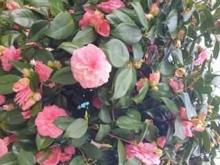  Maison � vendre 5 pi�ces 148 m�