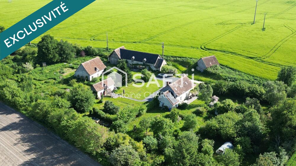 Vente Maison Ancienne ferme de 130m² avec terrain arboré de 9 330 m², nombreuses dépendances et potentiel touristique Chatillon-sur-indre