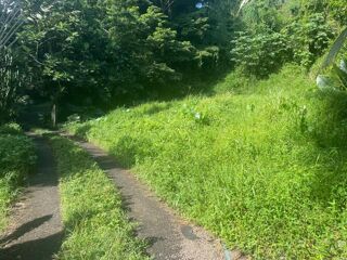  Terrain  vendre 2052 m