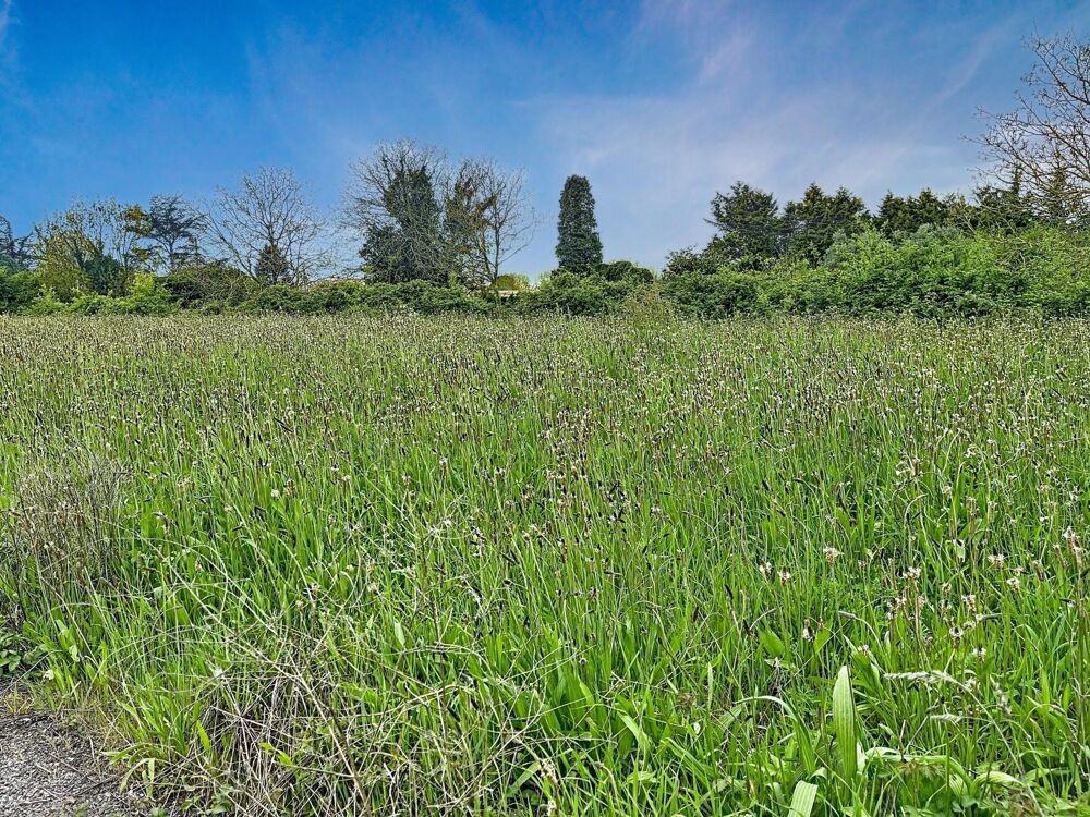 Vente Terrain Terrain viabilisé , hors lotissement La jonchere