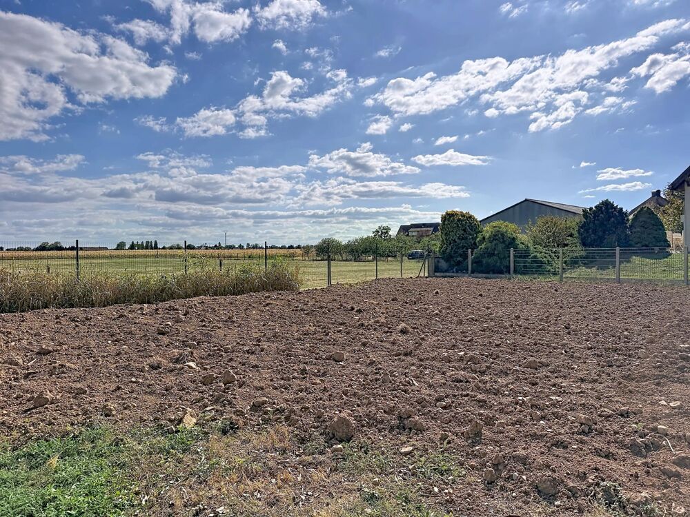 Vente Terrain Terrain constructible Bergholtz