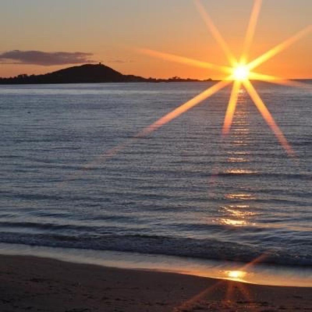 � vendre  Maison Pietrosella (20166)