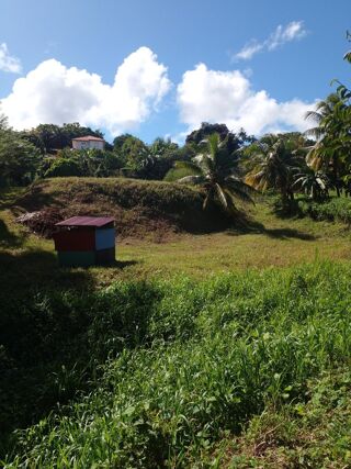  Terrain � vendre 2332 m�