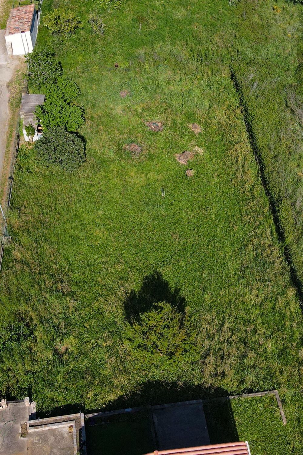 Maison avec terrain