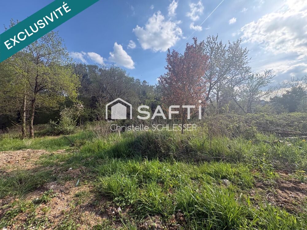 Vente Terrain RARE : Terrain d'exception en lisière de bois – Saint-Nicolas-de-Port Saint-nicolas-de-port
