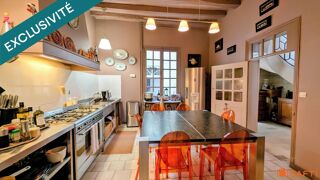  H�tel Particulier � vendre 8 pi�ces 300 m�