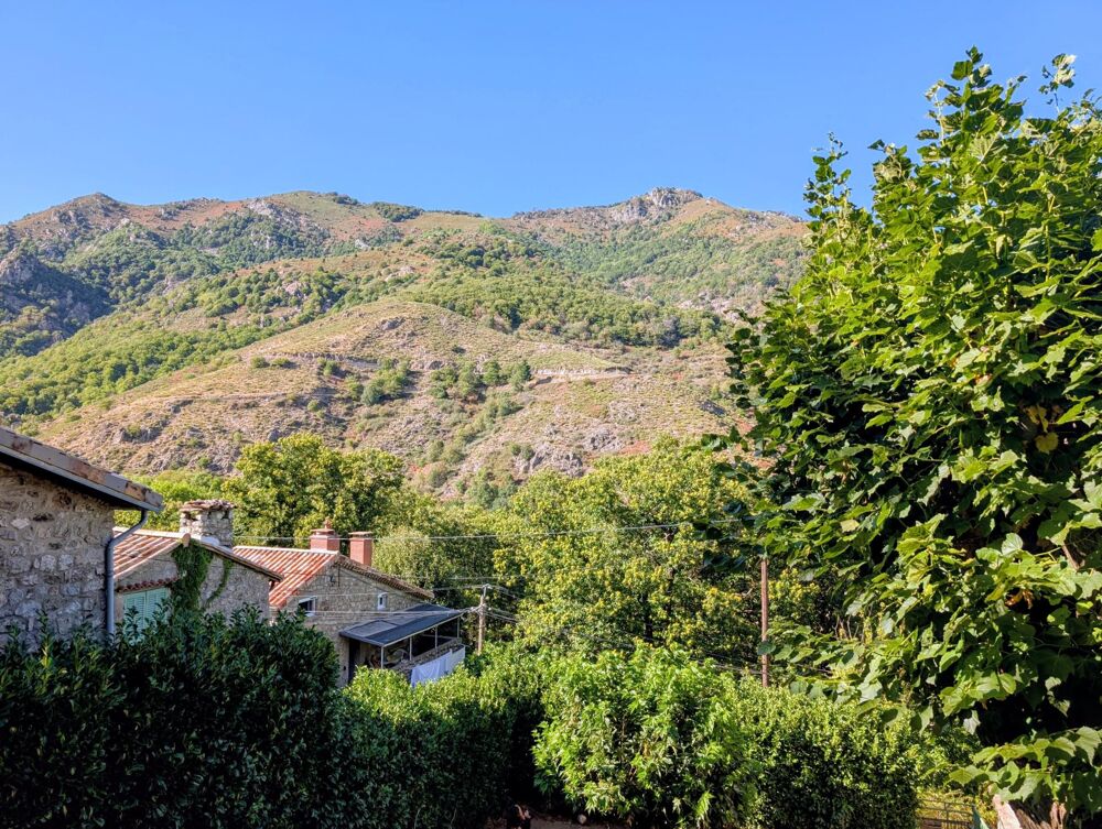 Vente Maison Maison en pierre au cœur d'un écrin de nature La souche