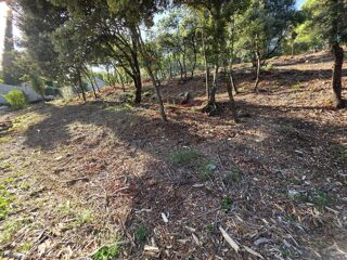 Vente Terrain Terrains constructibles à Peyruis 618m2– Vue dégagée et multiples possibilités de construction Peyruis