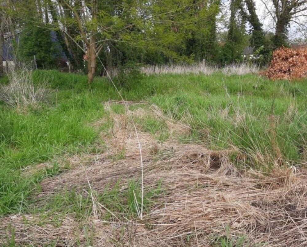 Vente Terrain Terrain à bâtir 1000 m²  51000€ Cambron