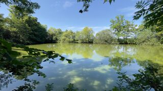  Terrain � vendre 10201 m� Javron-les-chapelles