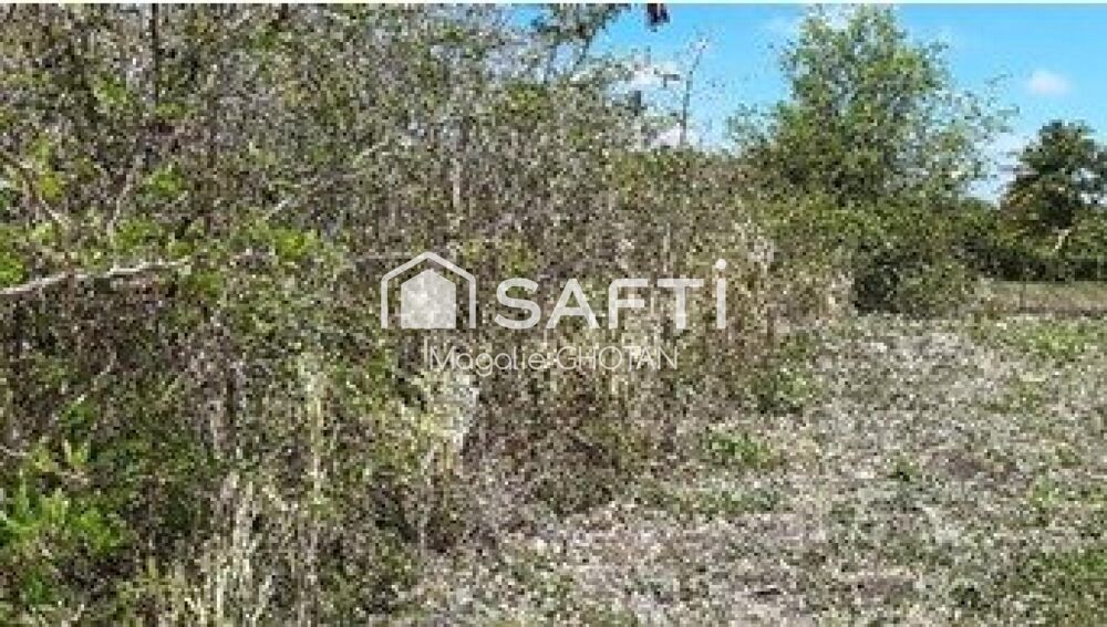 Vente Terrain Terrain à vendre de 1000m2 Le moule