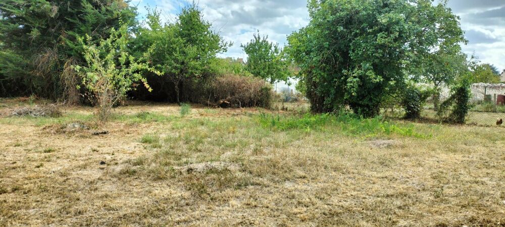 Vente Terrain 700 m2 de terrain pour un nouveau départ Port-de-piles