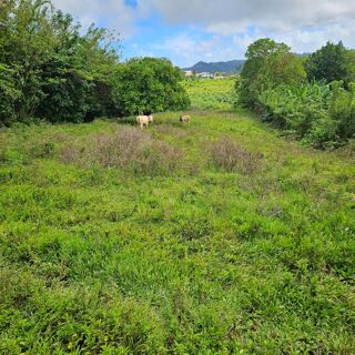  Terrain à vendre 4459 m²