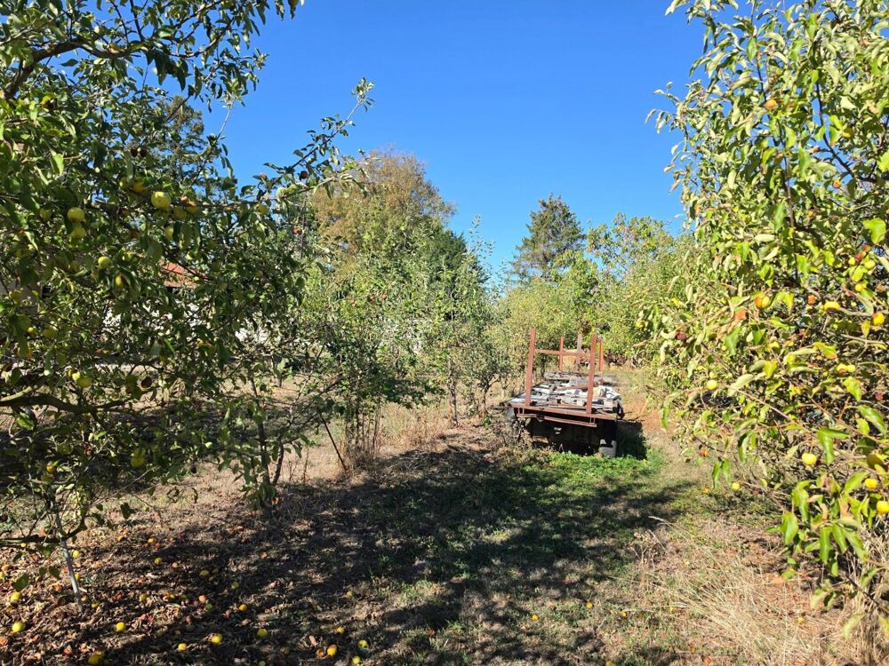Vente Terrain Terrain constructible arboré de 2 248 m² Sennecey-le-grand