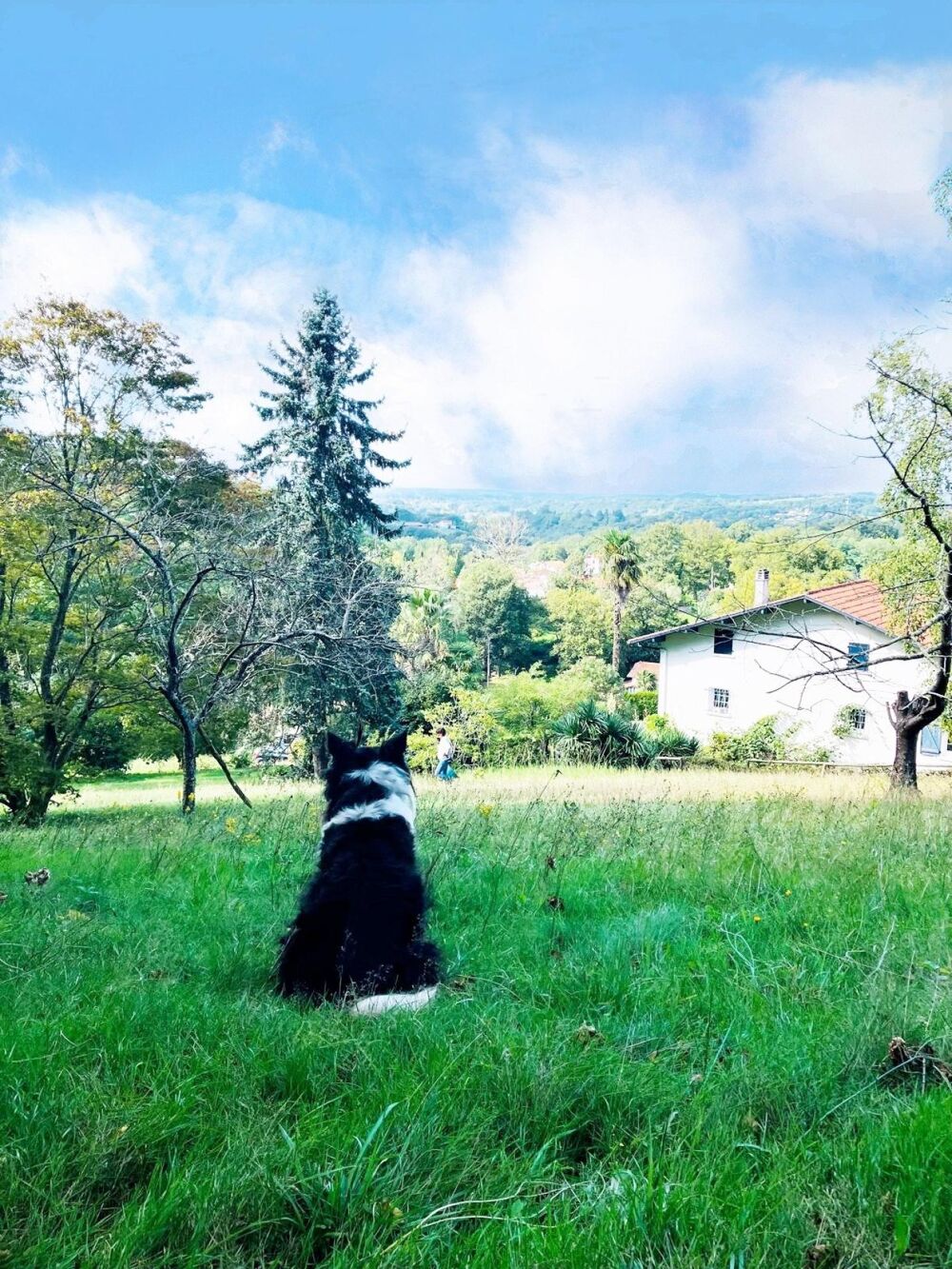 à vendre  Maison Cambo-les-Bains (64250)