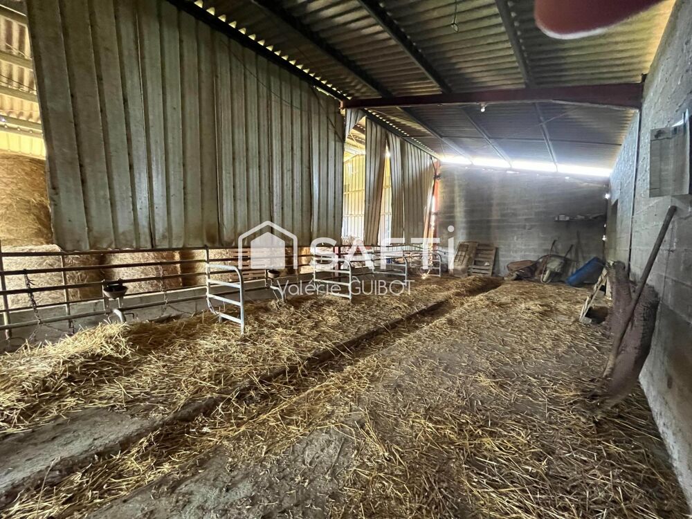 Vente Terrain Magnifique domaine agricole de 21ha ha au calme absolu Saint-christaud