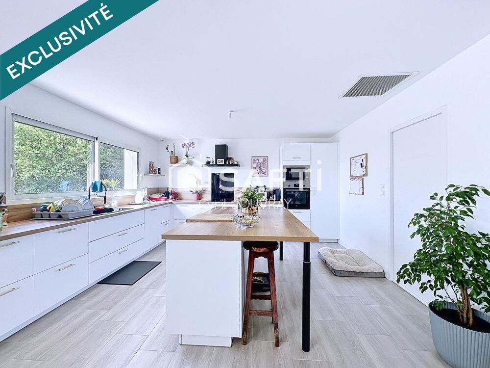 Vente Maison Belle maison récente, quatre chambres Negrepelisse