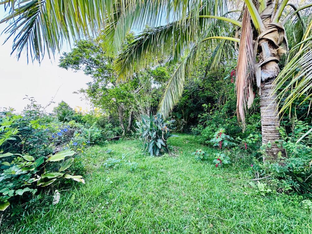 Vente Maison Terrain d'environ 2100m² constructible avec batisse de plan pied à réhabiliter de 137 m² ·  La Montagne 97417  · pK11 Saint-denis