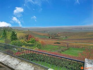  Maison � vendre 10 pi�ces 301 m�