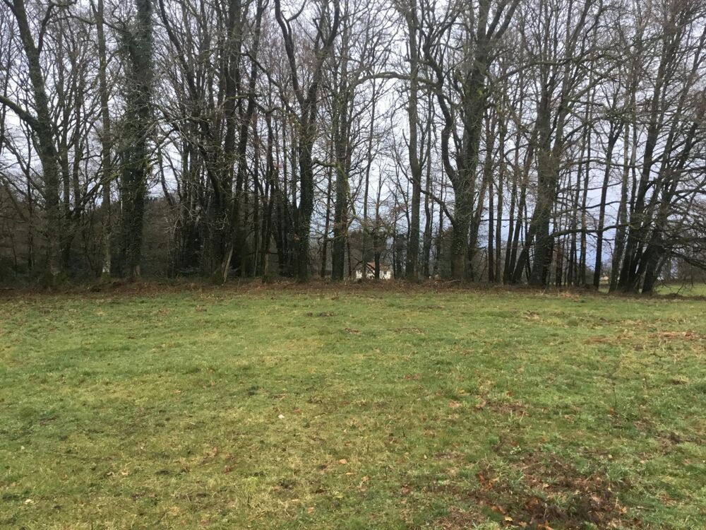 Vente Terrain Terrain constructible Bonnac la cote Bonnac-la-cote