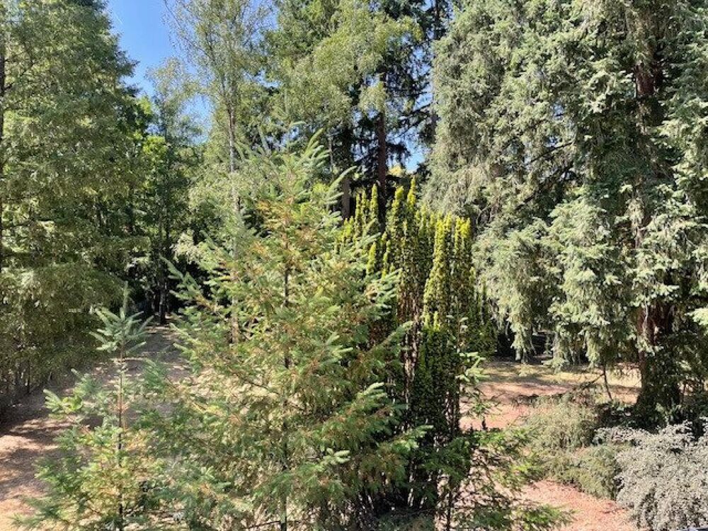 Vente Maison Limère, proche golf, maison 136 m2 sur sous-sol complet Ardon