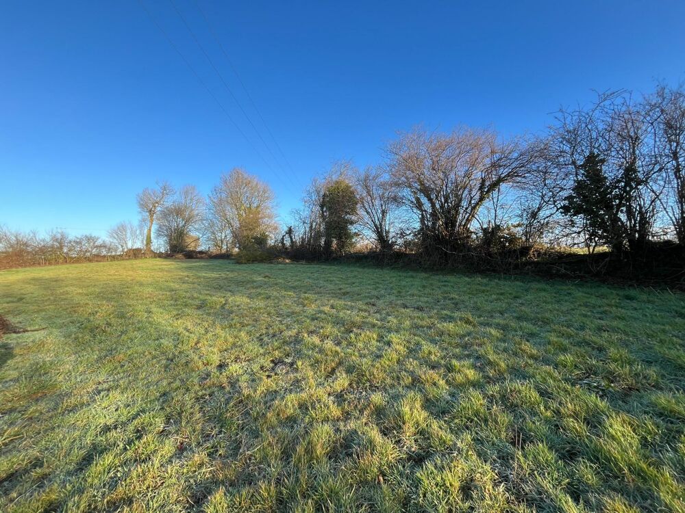 Vente Terrain Terrain � b�tir Saint-lo