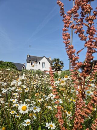 Maison à vendre 5 pièces 118 m²