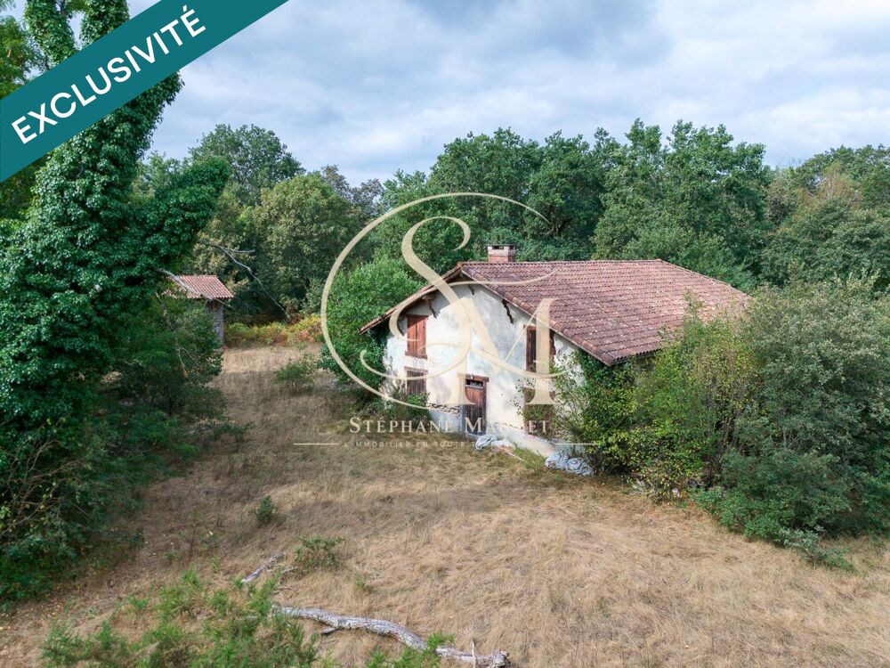 Propriété landaise à réinventer sur 2,8 ha