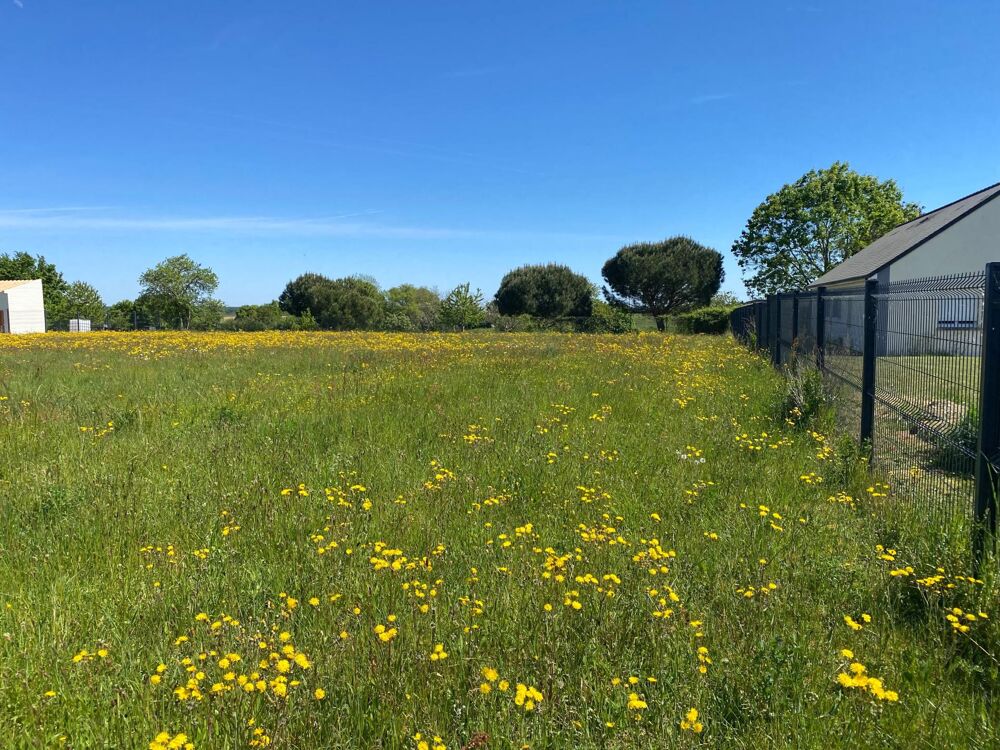 Vente Terrain très rare terrain constructible de 2211 M2 Saint-aubin-de-locquenay